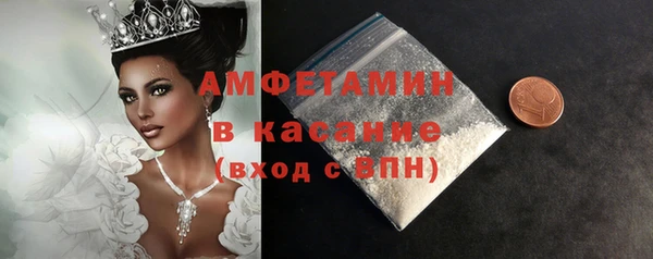 индика Кулебаки