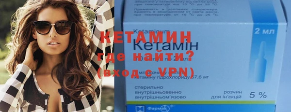 индика Кулебаки