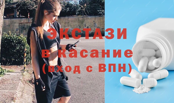 индика Кулебаки
