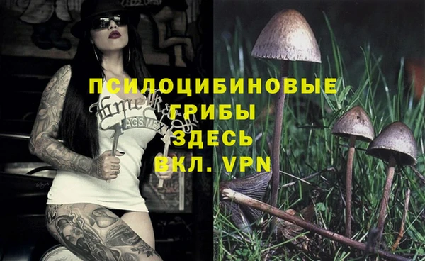не бодяженный Кукмор