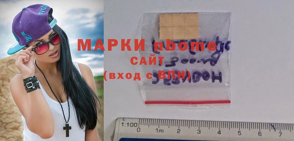 индика Кулебаки