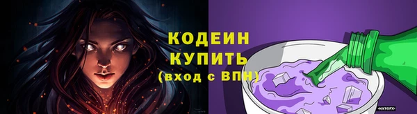 индика Кулебаки