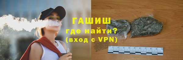 индика Кулебаки