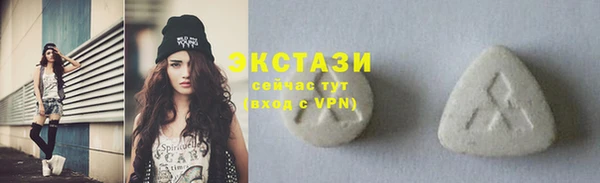 индика Кулебаки