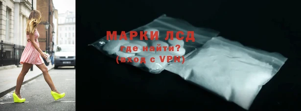 индика Кулебаки