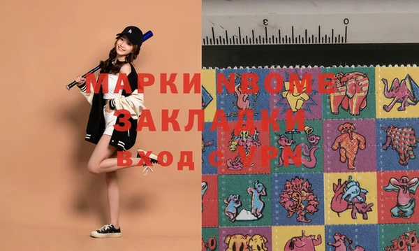 индика Кулебаки