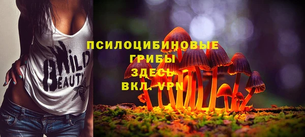 не бодяженный Кукмор