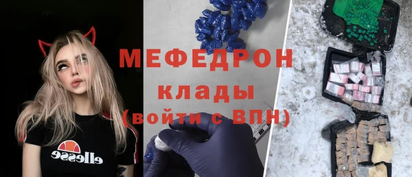 индика Кулебаки
