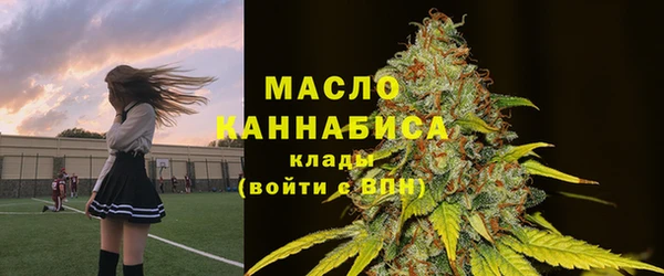 индика Кулебаки