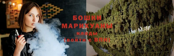 индика Кулебаки