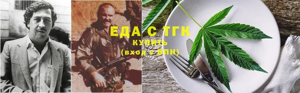 индика Кулебаки