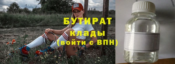 индика Кулебаки